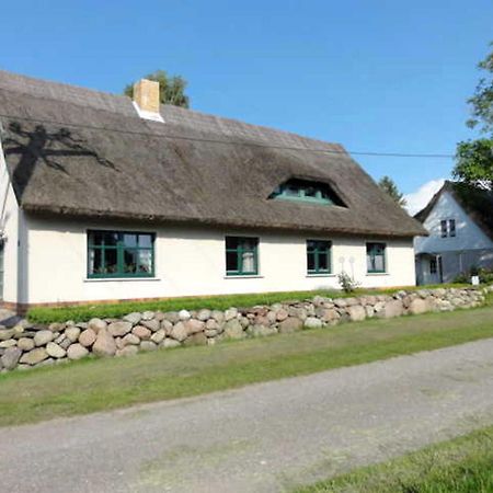 Reetdachhaus "Landhaus Ulrich" Lubkow 外观 照片